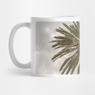 Palm tree silhouette against grey cloudy sky Mug